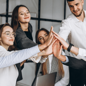 DESENVOLVIMENTO DE APLICAÇÕES. NET