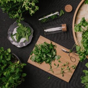 FISIOTERAPIA APLICADA A ÁREA DE ESTÉTICA