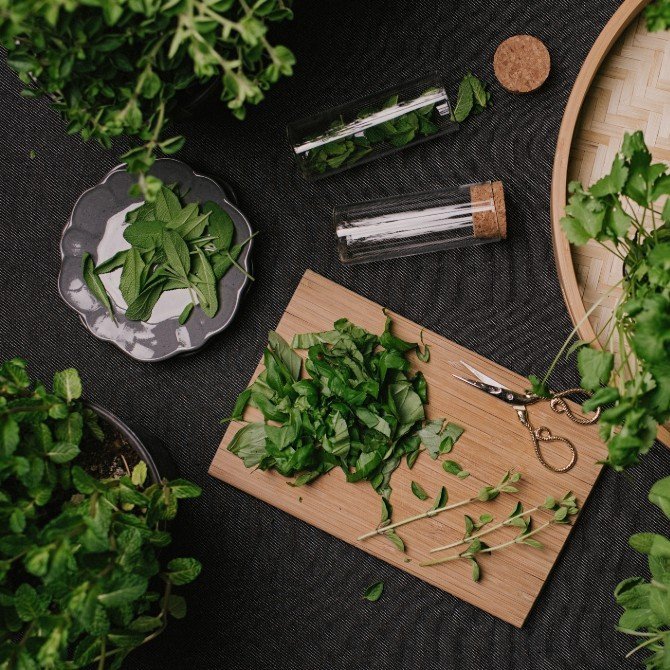 FISIOTERAPIA APLICADA A ÁREA DE ESTÉTICA